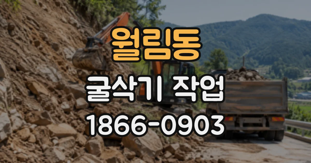 월림동 굴삭기작업
