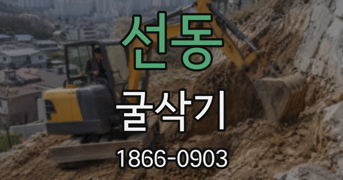 선동 굴삭기