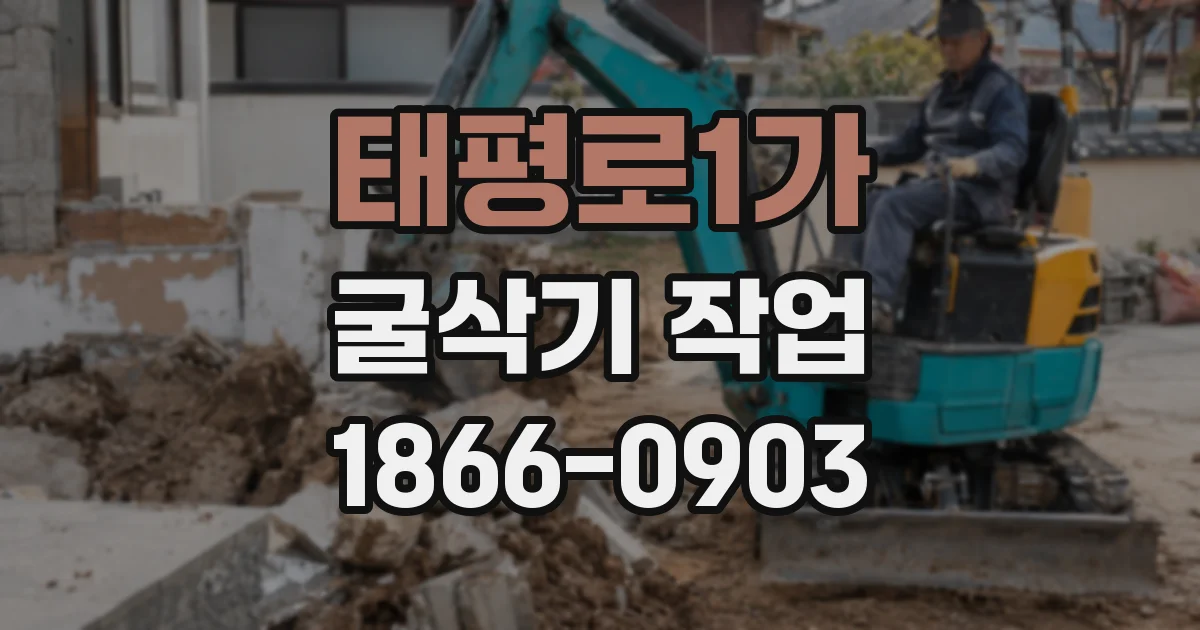 태평로1가 굴삭기 작업
