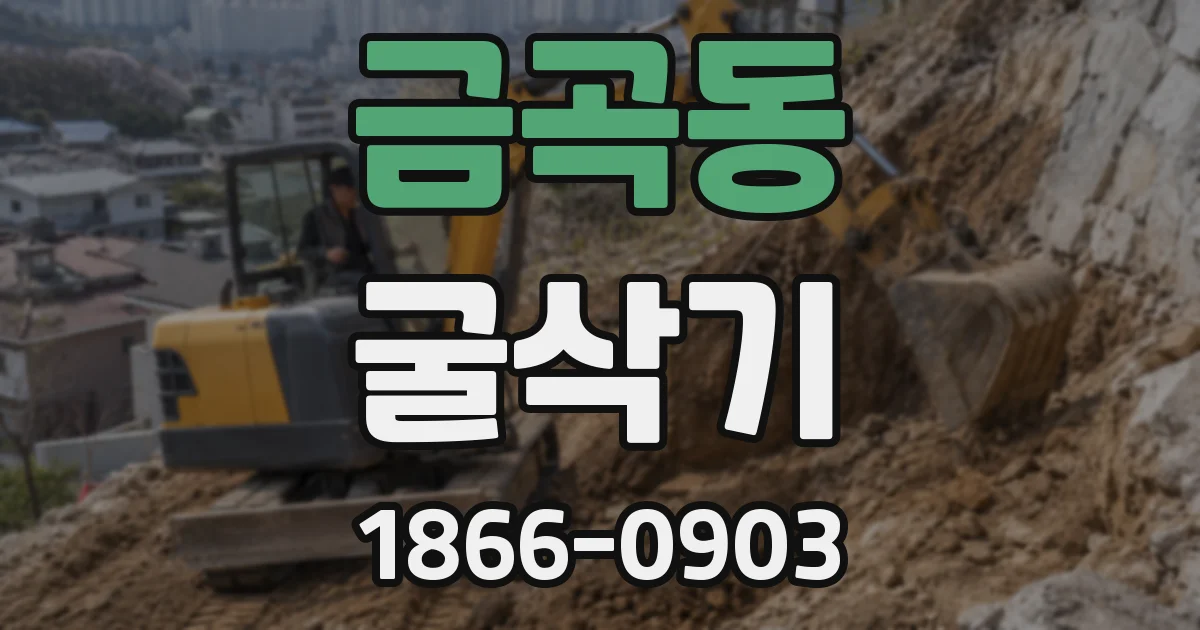 금곡동 굴삭기