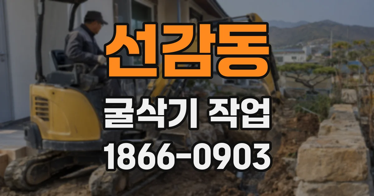 선감동 굴삭기 작업