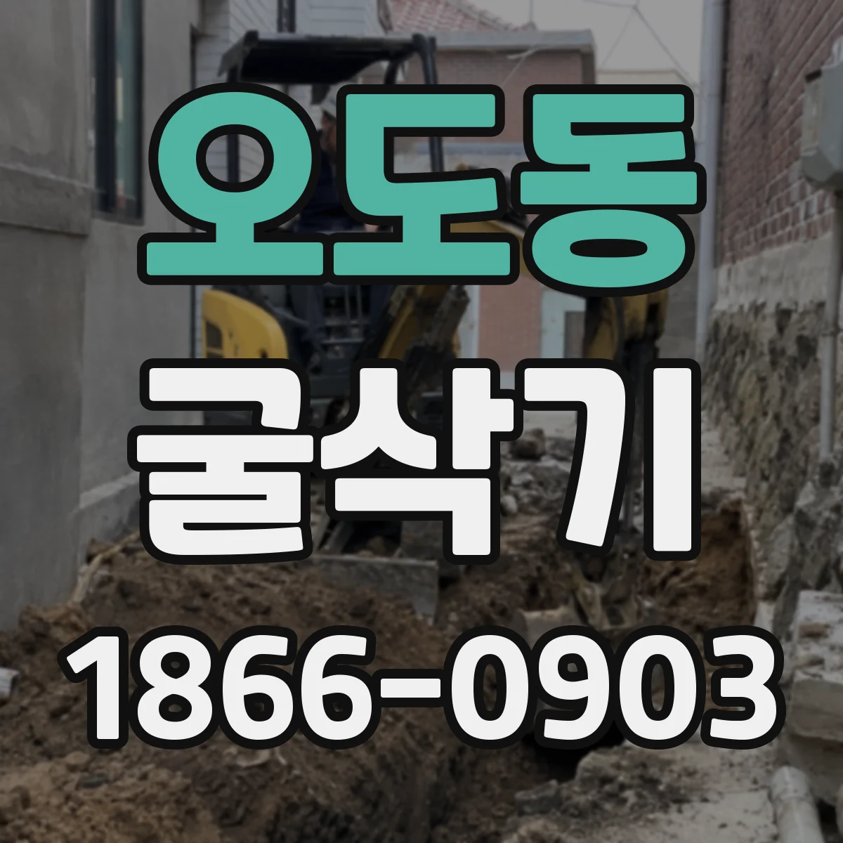 오도동 굴삭기