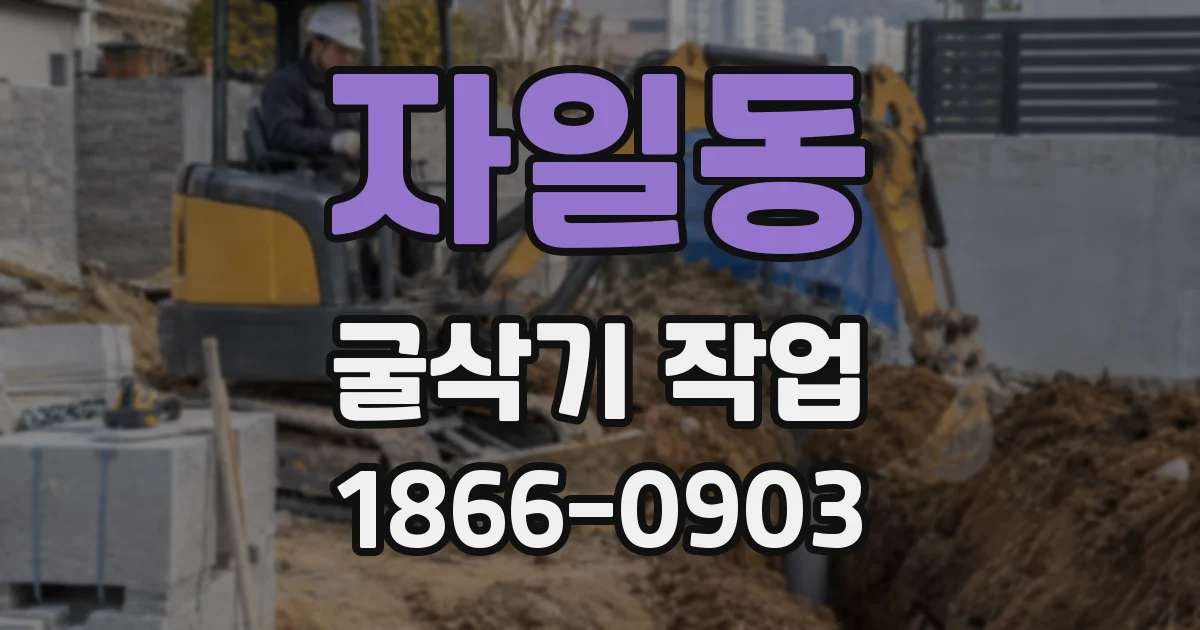 자일동 굴삭기 작업