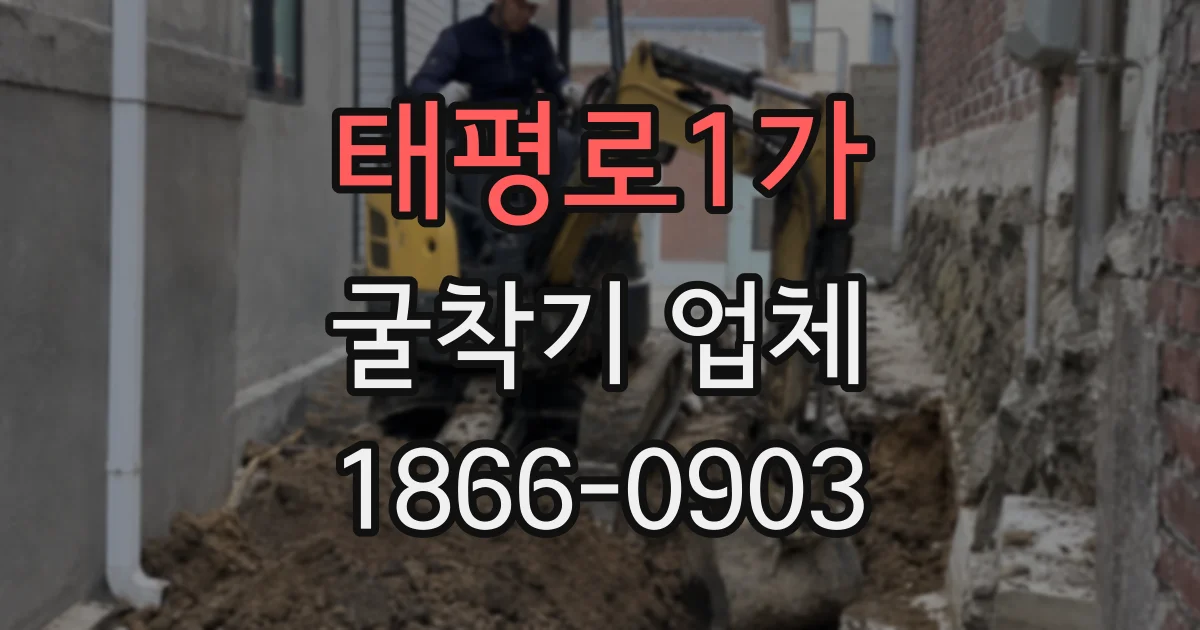 태평로1가 굴착기 업체