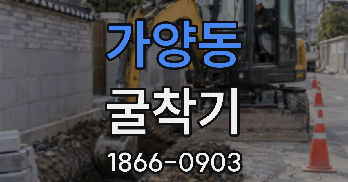 가양동 굴착기