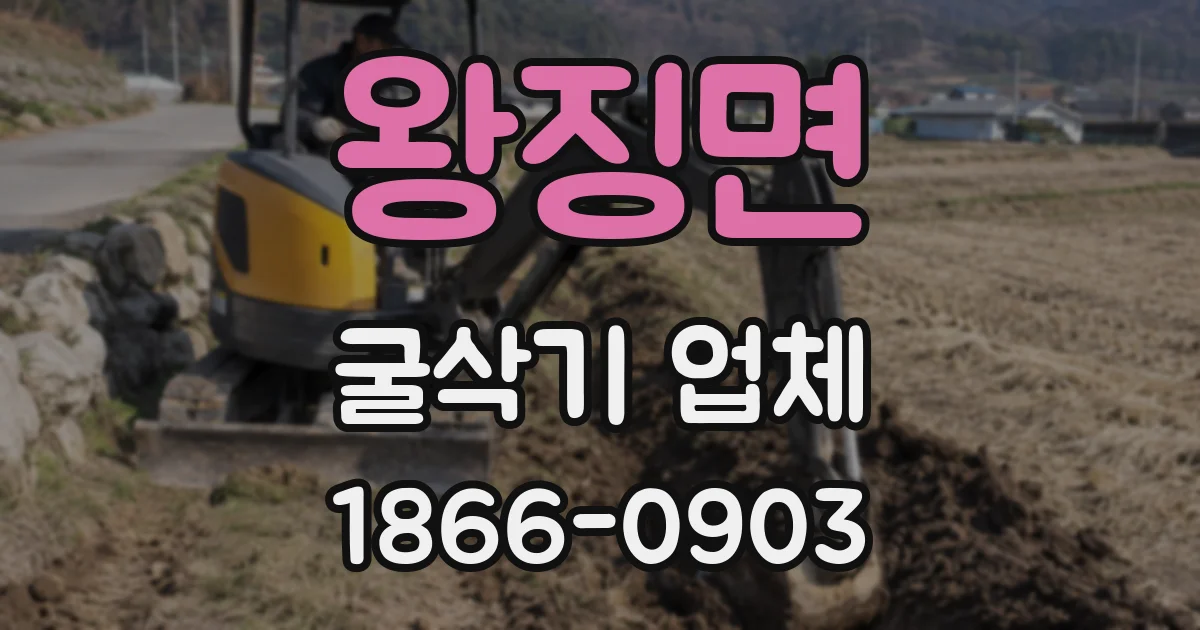 왕징면 굴삭기 업체