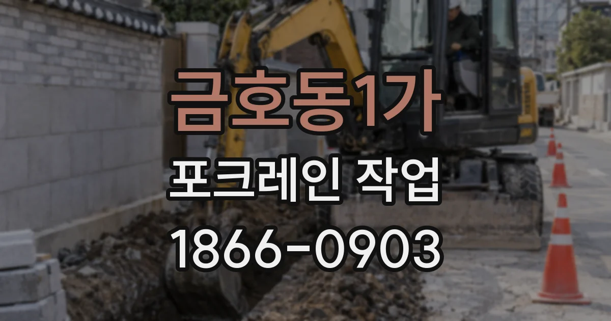 금호동1가 포크레인 작업