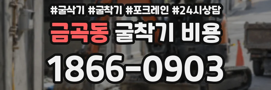 금곡동 굴착기 비용
