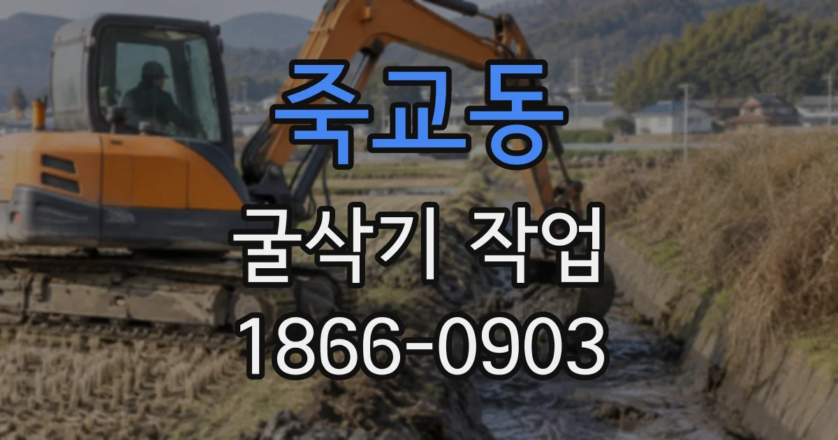 죽교동 굴삭기작업