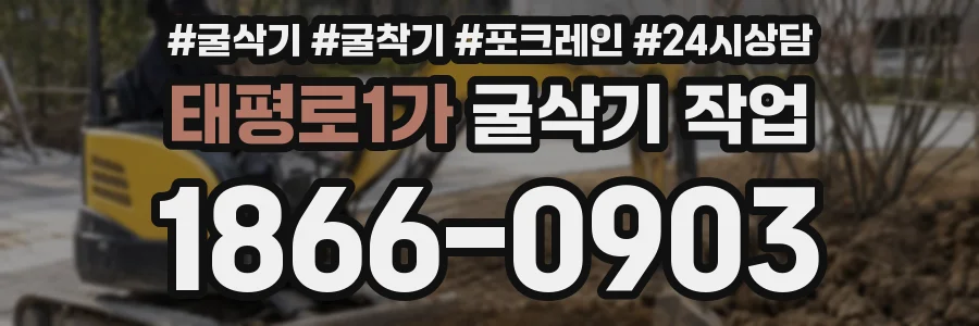 태평로1가 굴삭기 작업