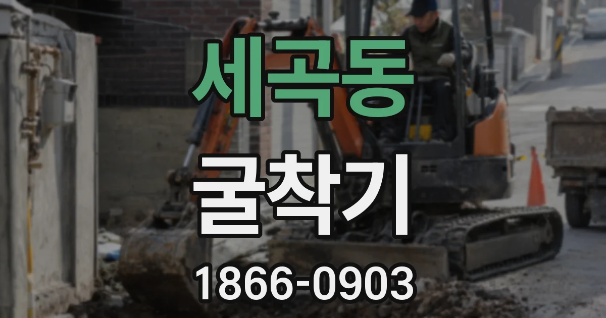 세곡동 굴착기