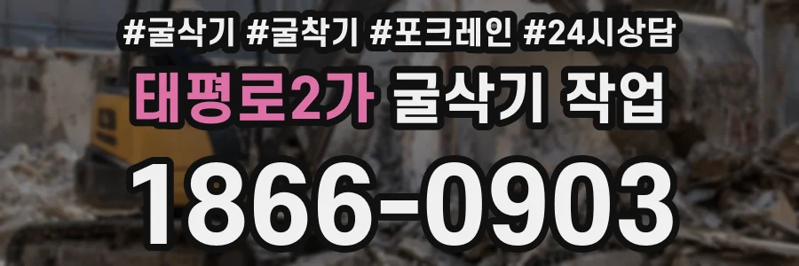 태평로2가 굴삭기 작업