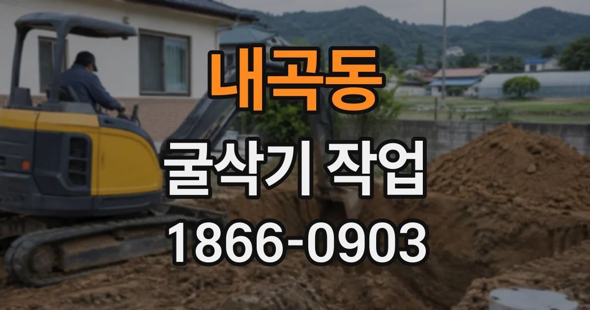 내곡동 굴삭기작업