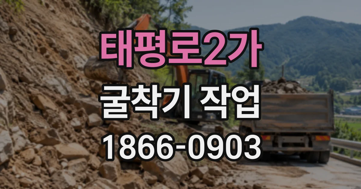 태평로2가 굴착기작업
