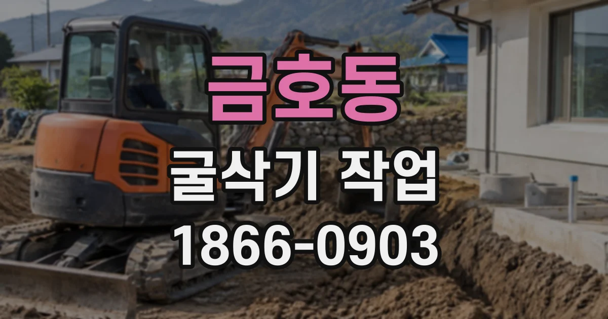금호동 굴삭기작업