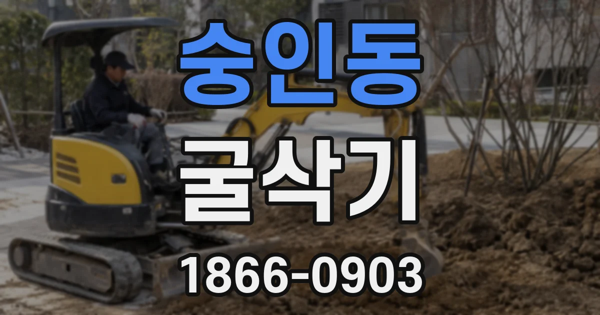 숭인동 굴삭기