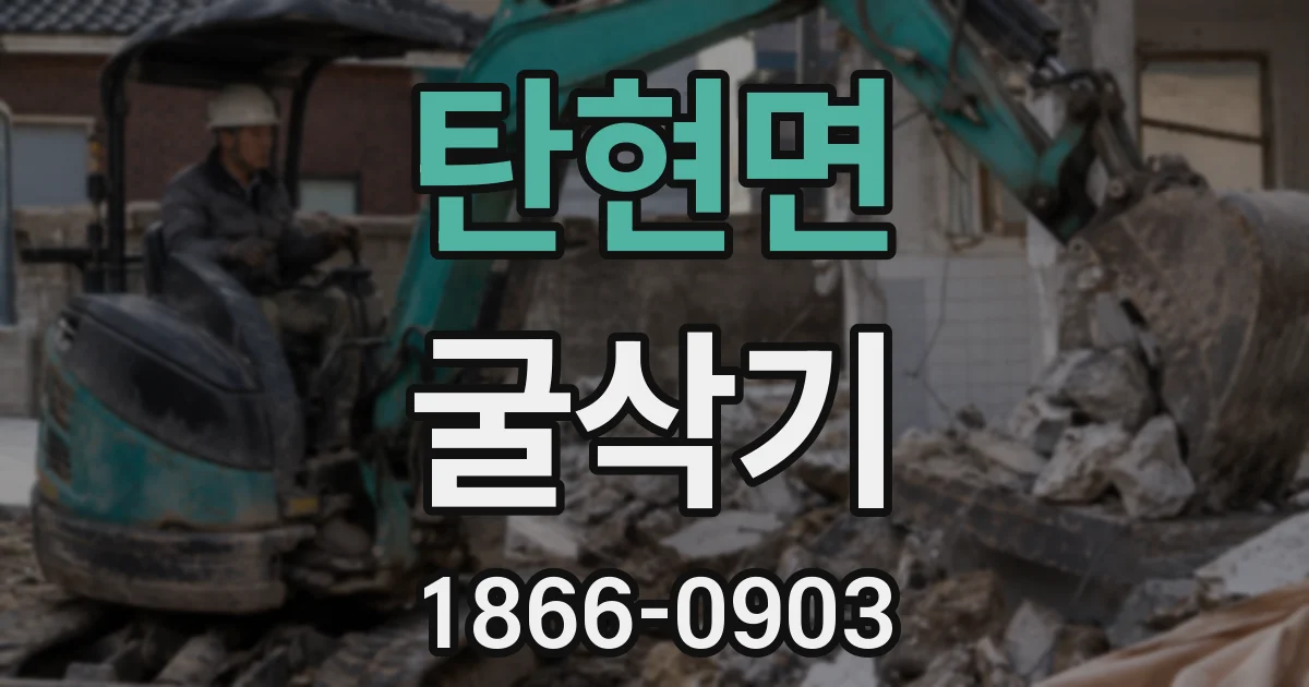 탄현면 굴삭기