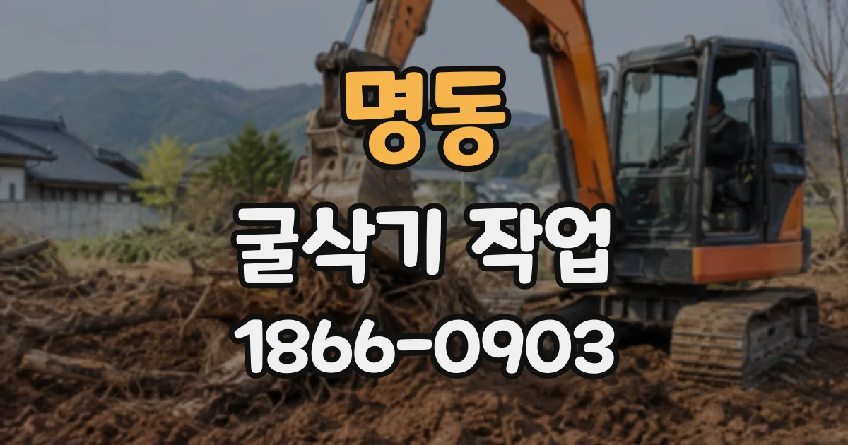 명동 굴삭기작업
