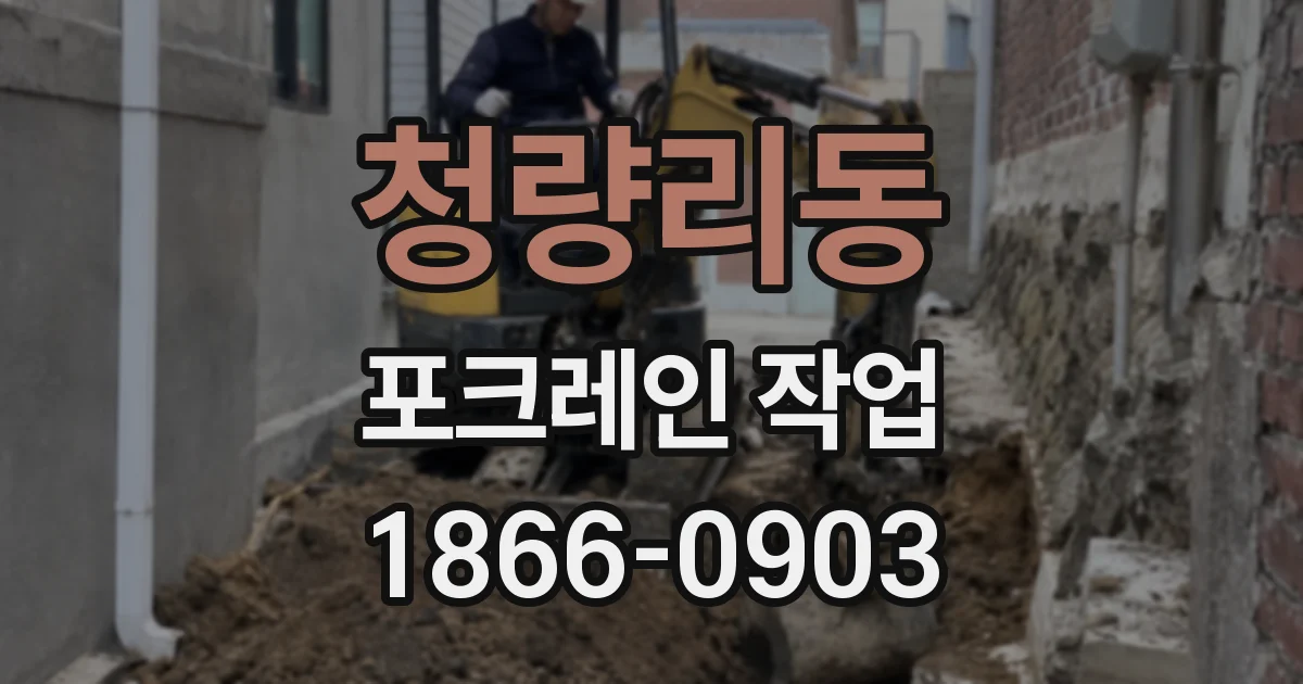 청량리동 포크레인 작업