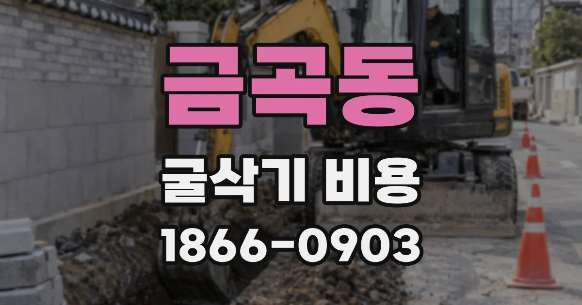 금곡동 굴삭기 비용