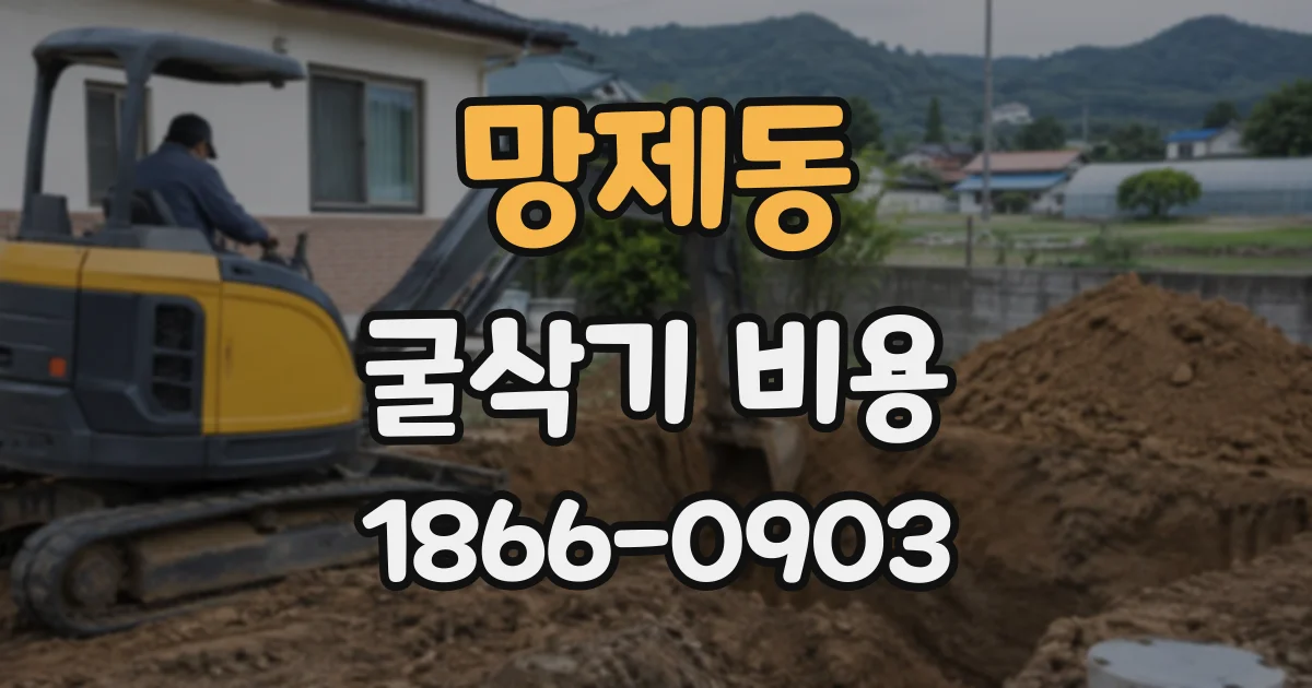 망제동 굴삭기비용
