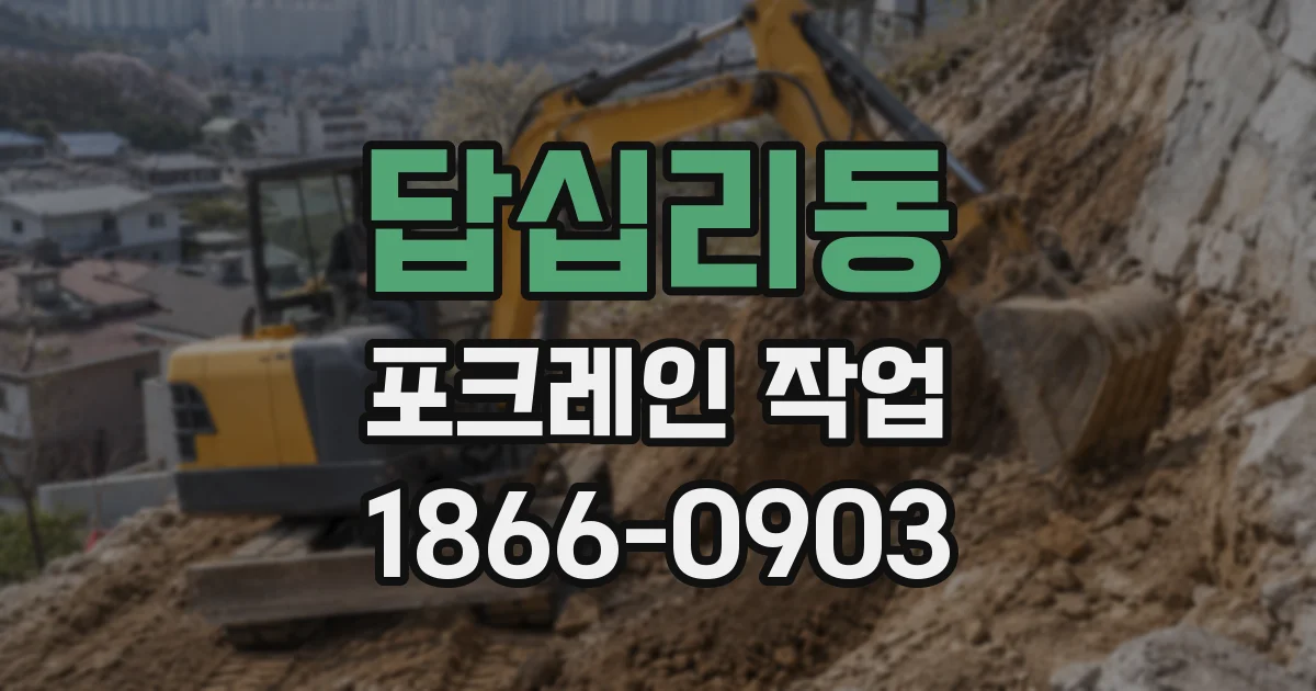 답십리동 포크레인 작업