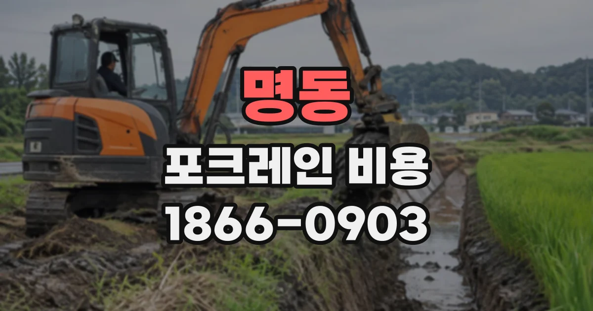 명동 포크레인비용