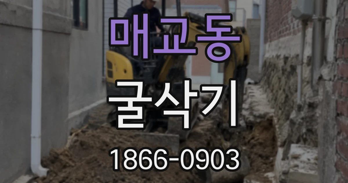 매교동 굴삭기