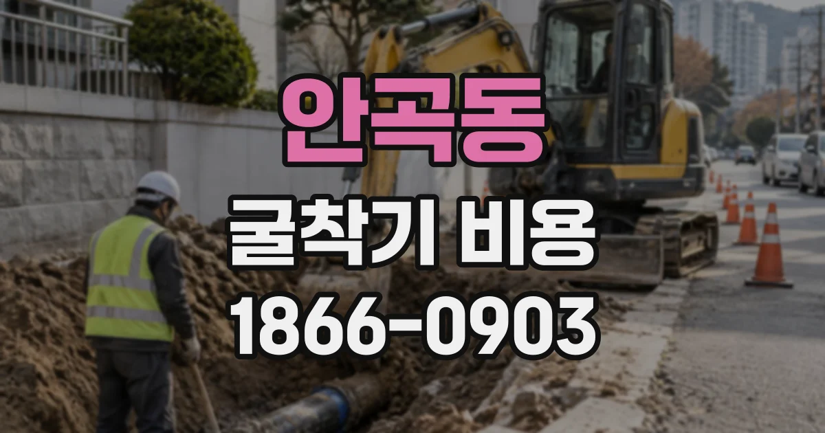안곡동 굴착기비용