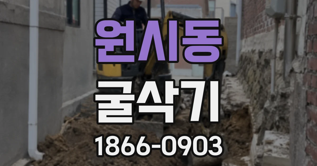 원시동 굴삭기