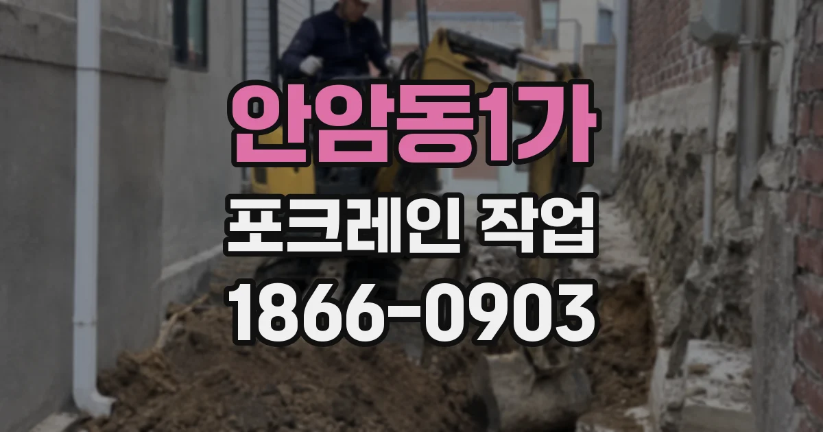 안암동1가 포크레인 작업