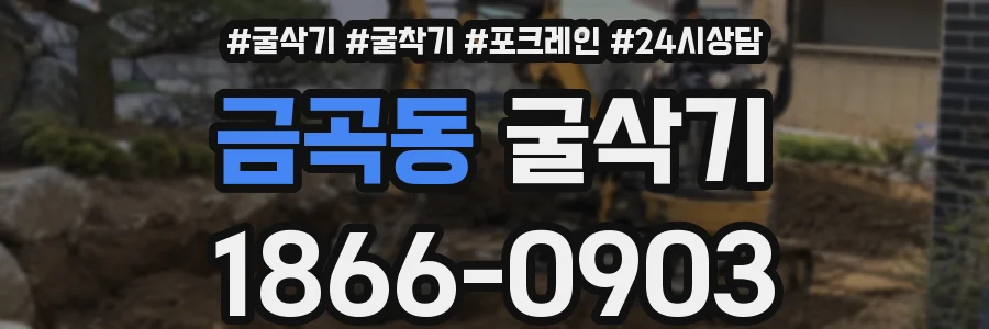 금곡동 굴삭기