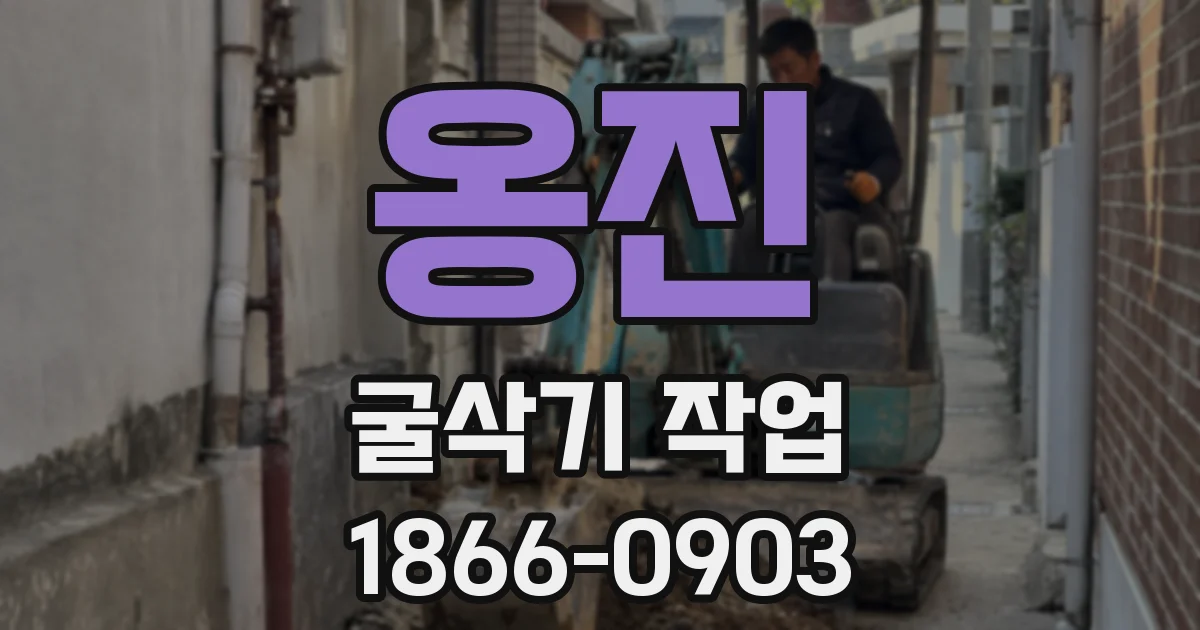 옹진 굴삭기 작업