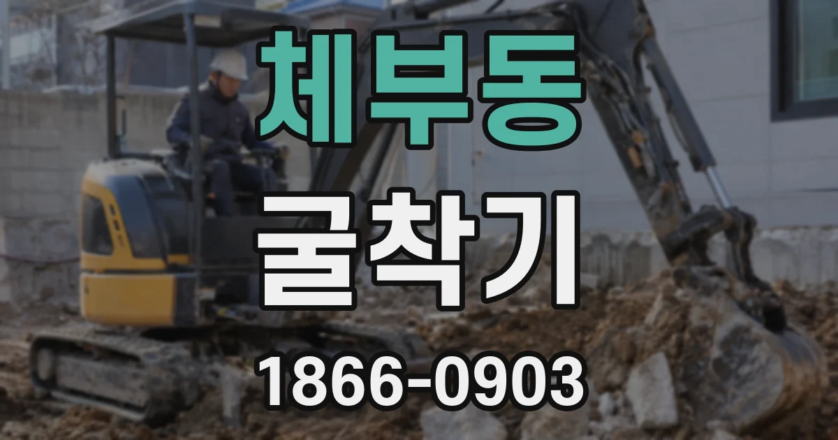 체부동 굴착기