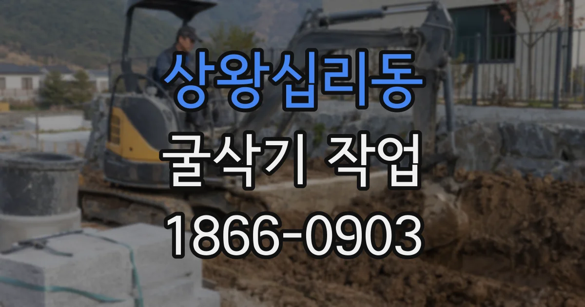 상왕십리동 굴삭기 작업