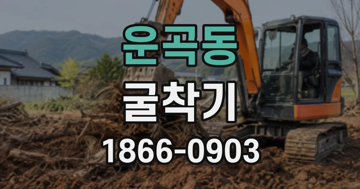 운곡동 굴착기