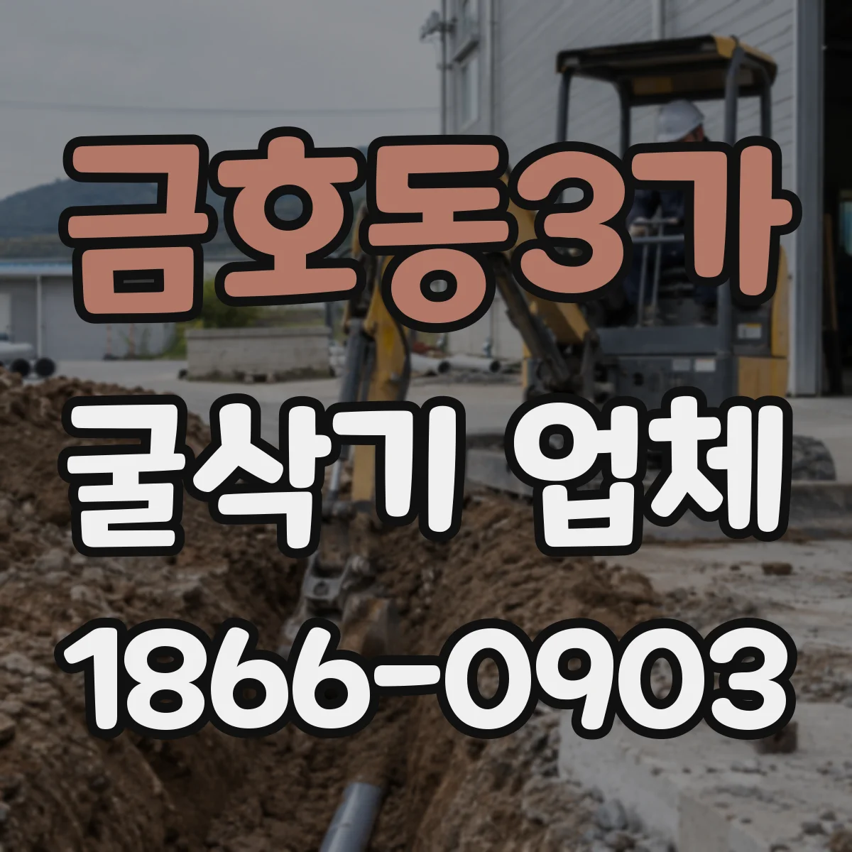 금호동3가 굴삭기 업체