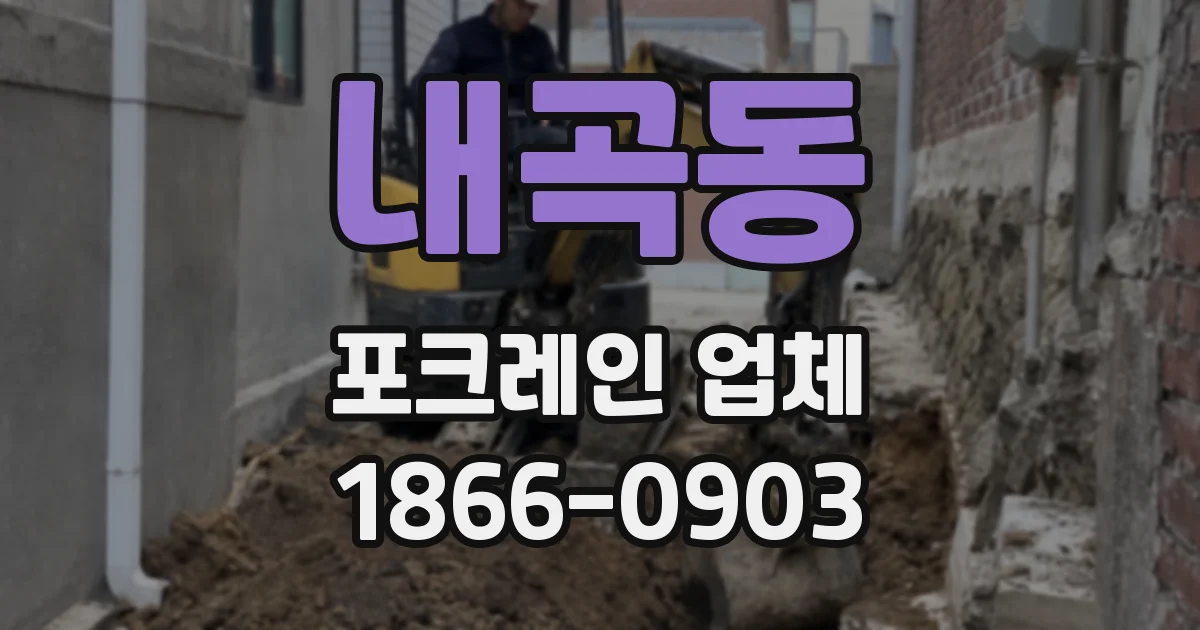 내곡동 포크레인 업체