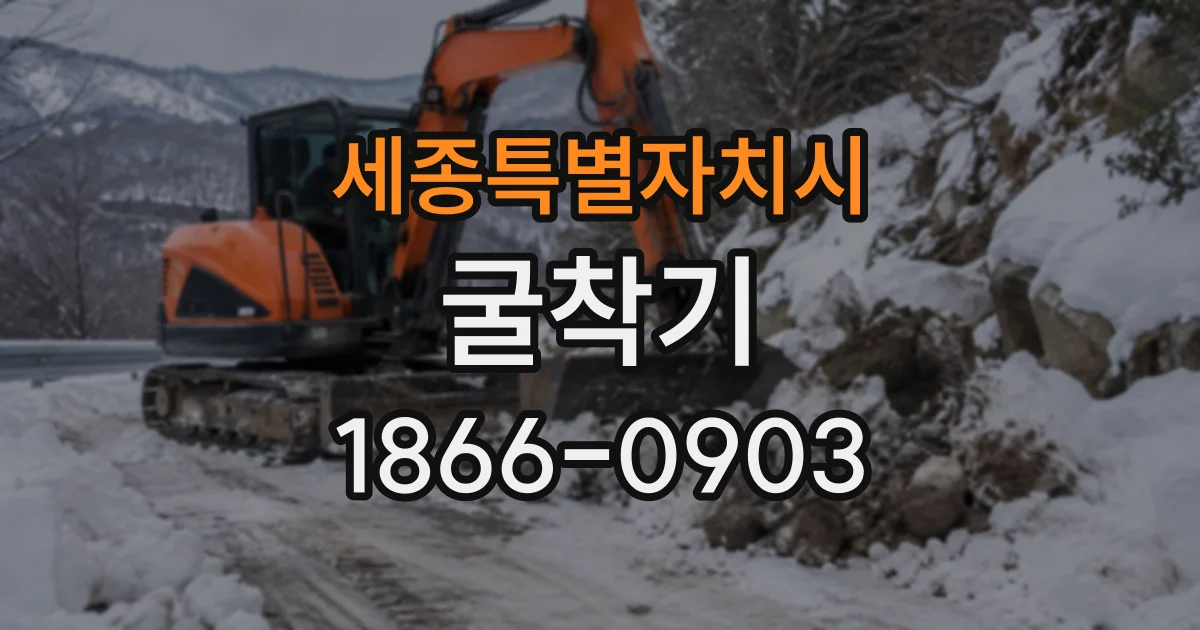 세종특별자치시 굴착기