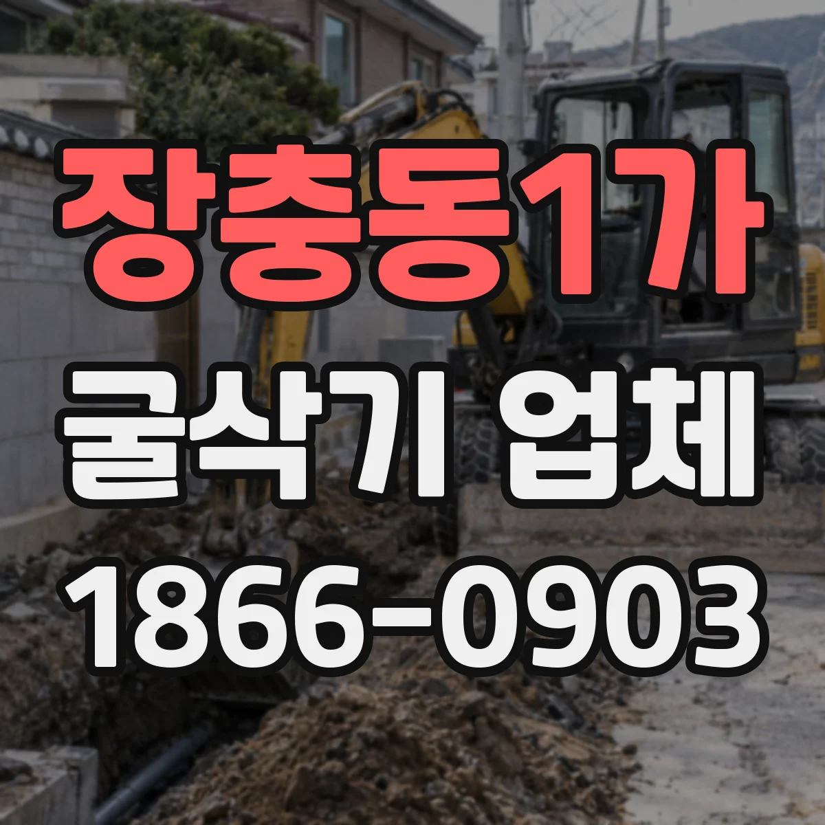 장충동1가 굴삭기 업체