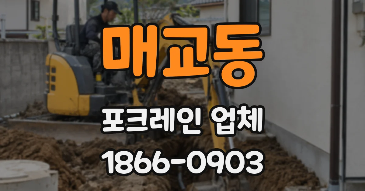 매교동 포크레인 업체