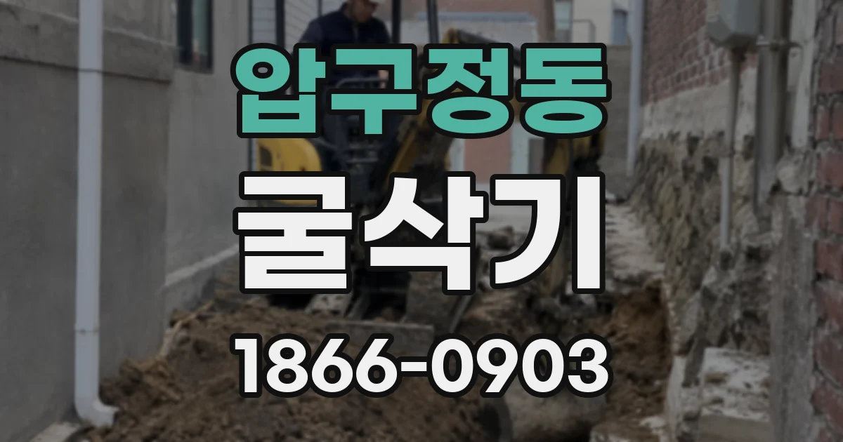압구정동 굴삭기