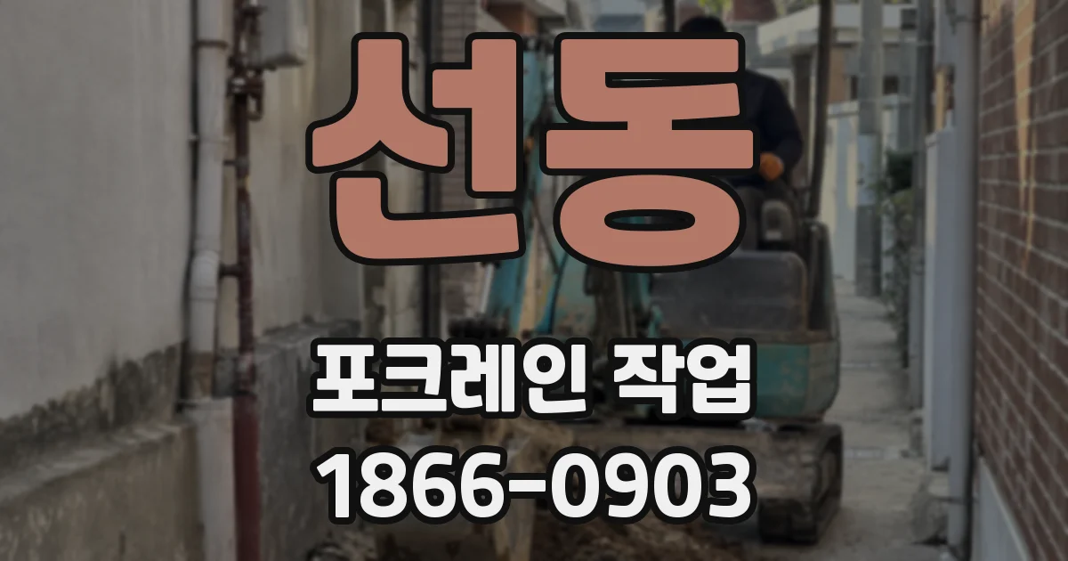 선동 포크레인 작업