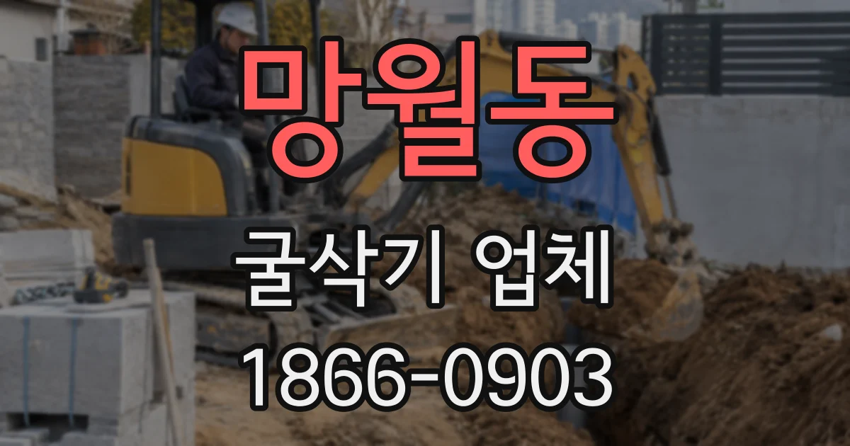 망월동 굴삭기 업체