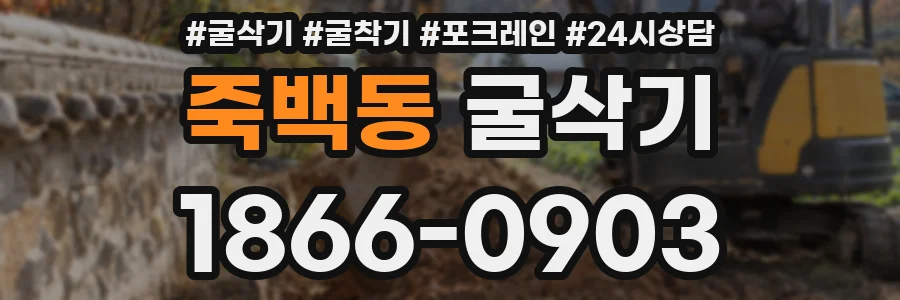 죽백동 굴삭기