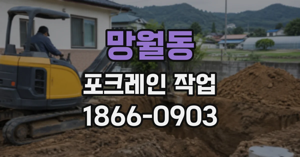 망월동 포크레인작업