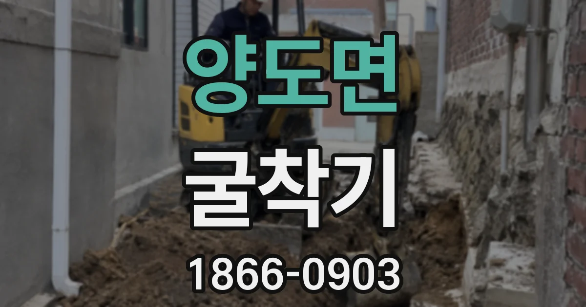 양도면 굴착기
