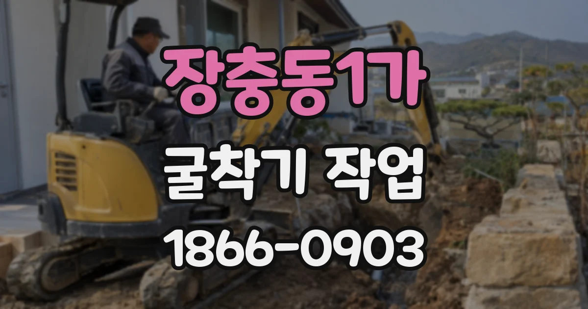 장충동1가 굴착기 작업