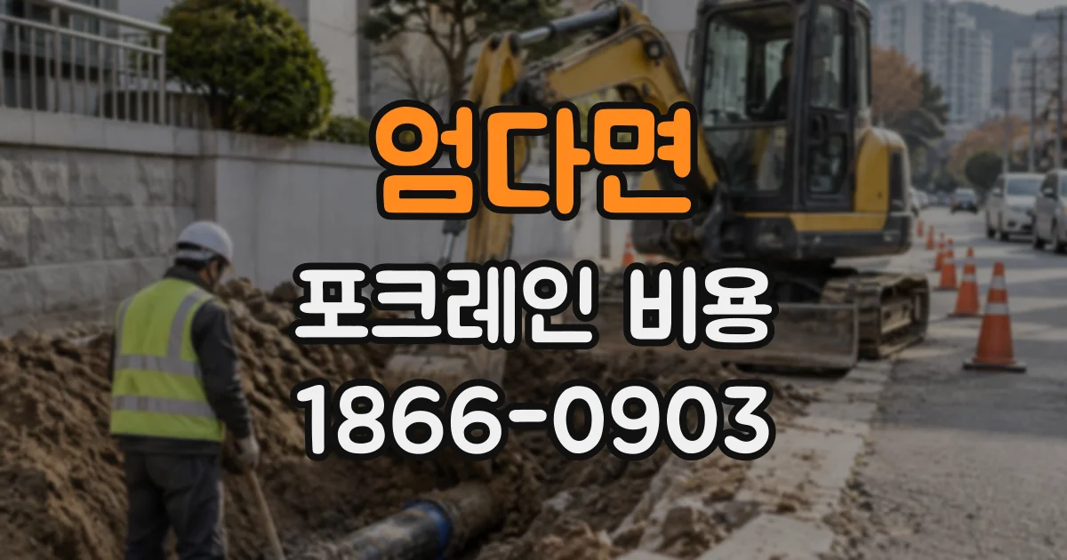 엄다면 포크레인비용
