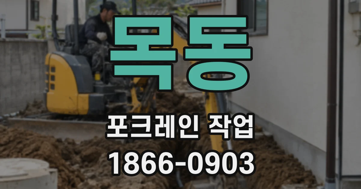 목동 포크레인 작업